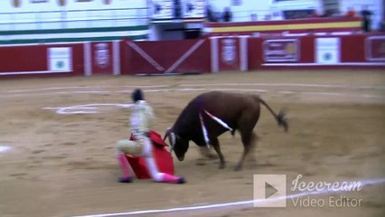 ALFONSO ALONSO NIEBLA 1 NOVILLO