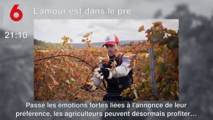 Programme TV soirée du Lundi 11 novembre 2024