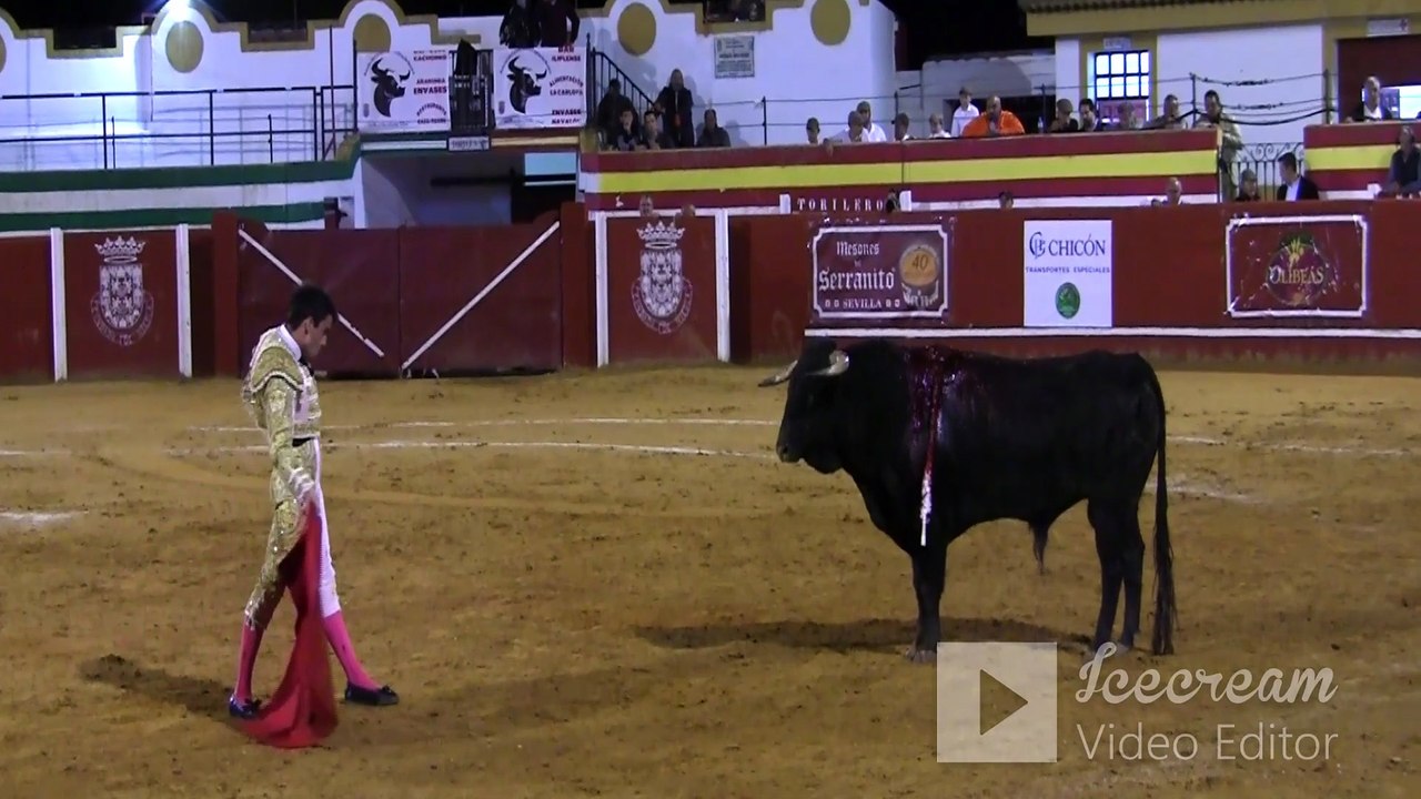 ALFONSO ALONSO NIEBLA 2 NOVILLO