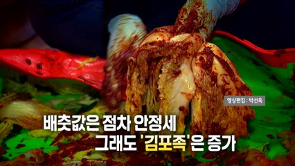[영상] 배춧값 안정세에도 '김포족'은 증가 / YTN