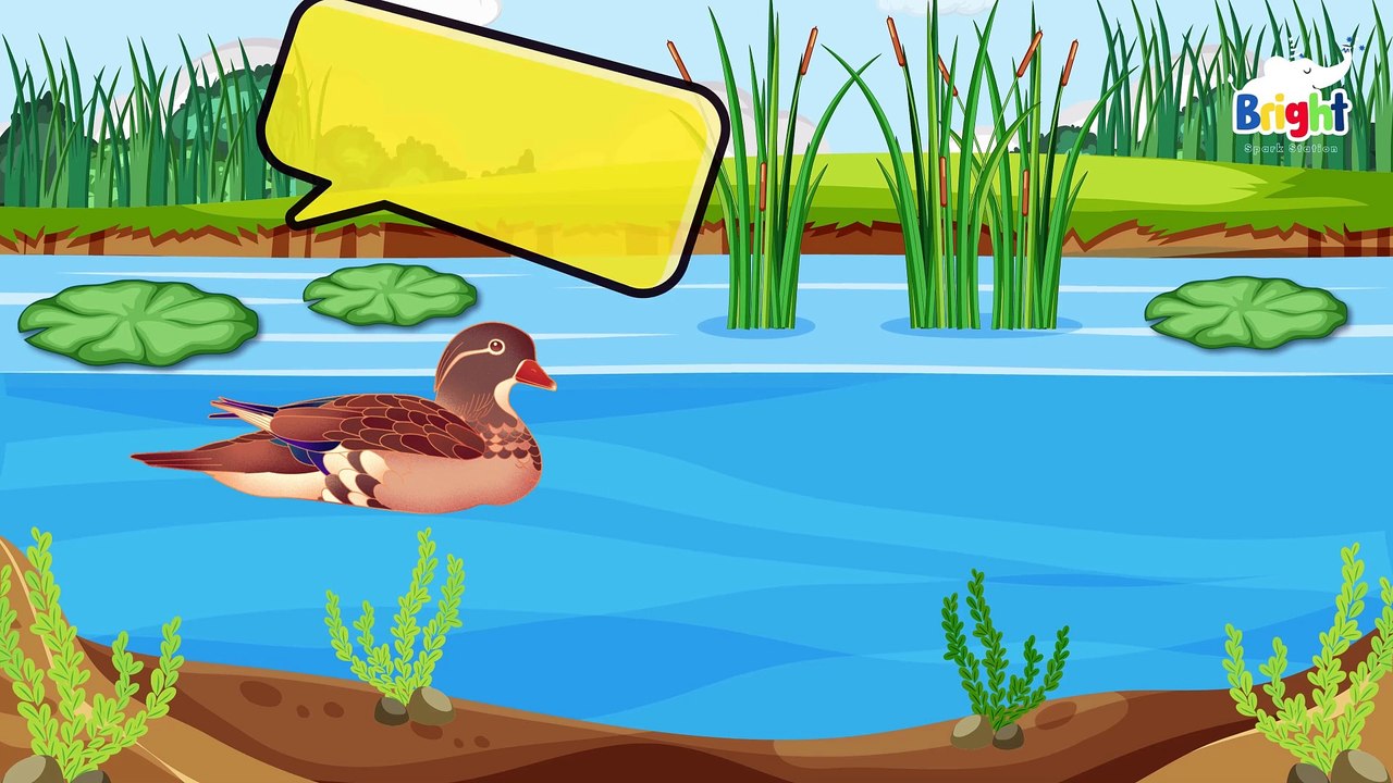 Five Little Ducks | Numbers 1234| Best song for children | Bright Spark Station