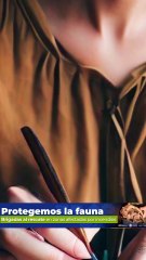 ATB Podcast Kitch y Deil en la Suite de Cascanueces - Parte 2 El viaje continúa con Inag Llorenti