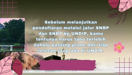 Passing Grade Program Studi Daya Tampung Peminat Keketatan Universitas DiponegoroTerbaru 20242025