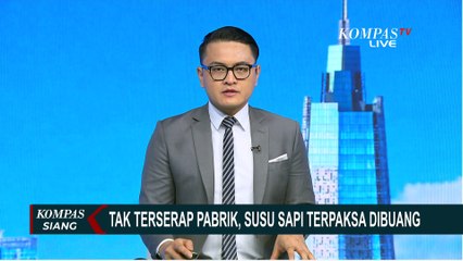 Tak Terserap Pabrik, 50 Ribu Liter Susu Sapi Tak Layak Konsumsi Terpaksa Dibuang