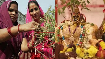 Tulsi Vivah 2024 Date Time: 12 या 13 नवंबर 2024 तुलसी विवाह कब, सही तिथि और शुभ मुहूर्त,भद्राकाल समय