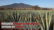 Autoridades de Jalisco desatienden contaminación por residuos tequileros