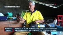 Pramono Pengepul Susu di Boyolali Berencana Tutup Usaha Gara-Gara Tagihan Pajak