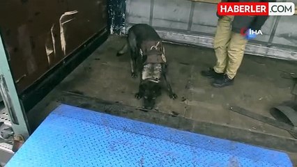 Türkiye'de Yüklü Miktarda Uyuşturucu Ele Geçirildi