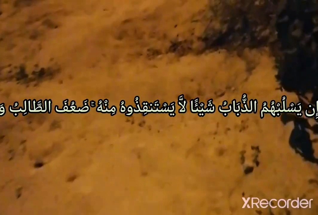 نقي قلبك كتاب الله شرح آية وإن يسلبهم الذباب شيئًا لا