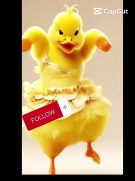 Music danc video for copyrit for tik tok youtub