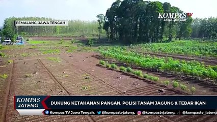 Dukung Ketahanan Pangan, Polisi Tanam Jagung dan Tebar Ikan
