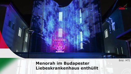 hallo ungarn – Kurznachrichten am 11.11.2024