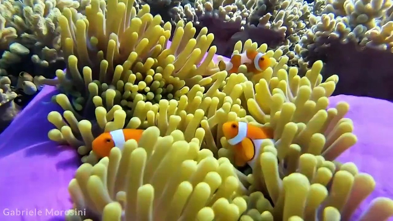 THE MOST Incredible Tourist Spots You Have to Visit