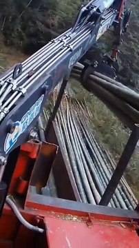 Bamboo can also be dropped and loaded by machines and grabbed by vehicles. Bamboo truck loading