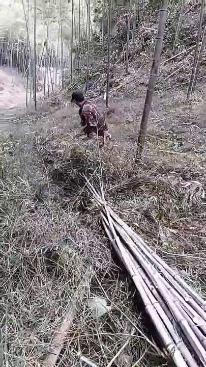 The most cost-effective way to descend bamboo mountains. Manual towing and sliding transportation.