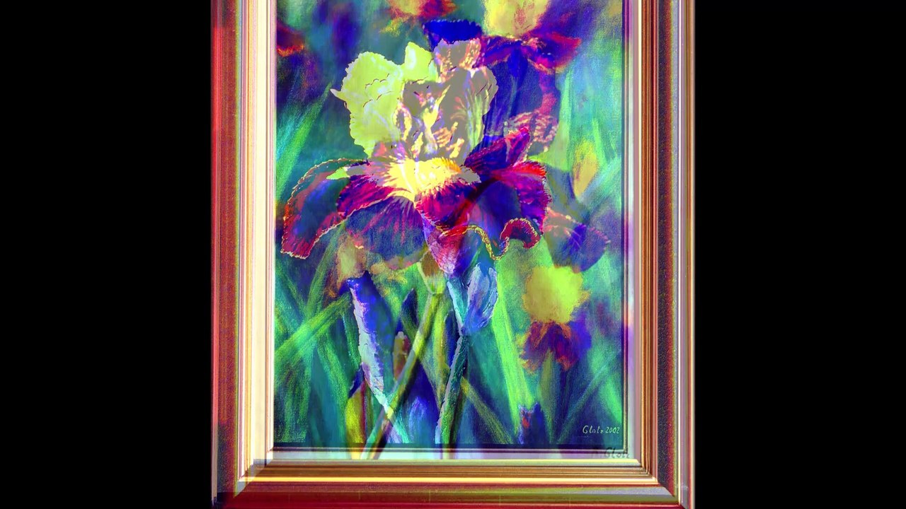 #Iris31 ,