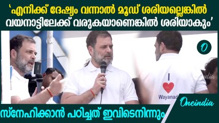 ഞാൻ വയനാടിന്റെ അനൗദ്യോഗിക പ്രതിനിധി, ഔദ്യോഗിക ജനപ്രതിനിധി ആകേണ്ട ആവശ്യമില്ല