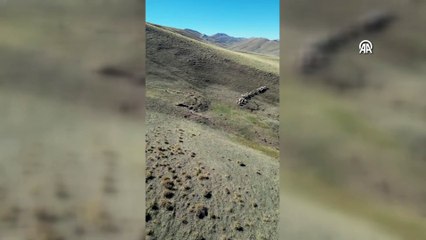 Van'da kaybolan küçükbaş hayvanlar, öğretmenin uçurduğu dronla bulundu