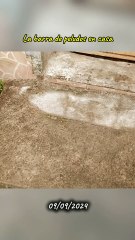 La barra de peludos en casa - Tacuarembó (09/09/2024)