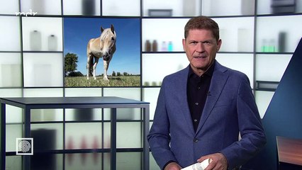 Kripo live vom 10. November 2024