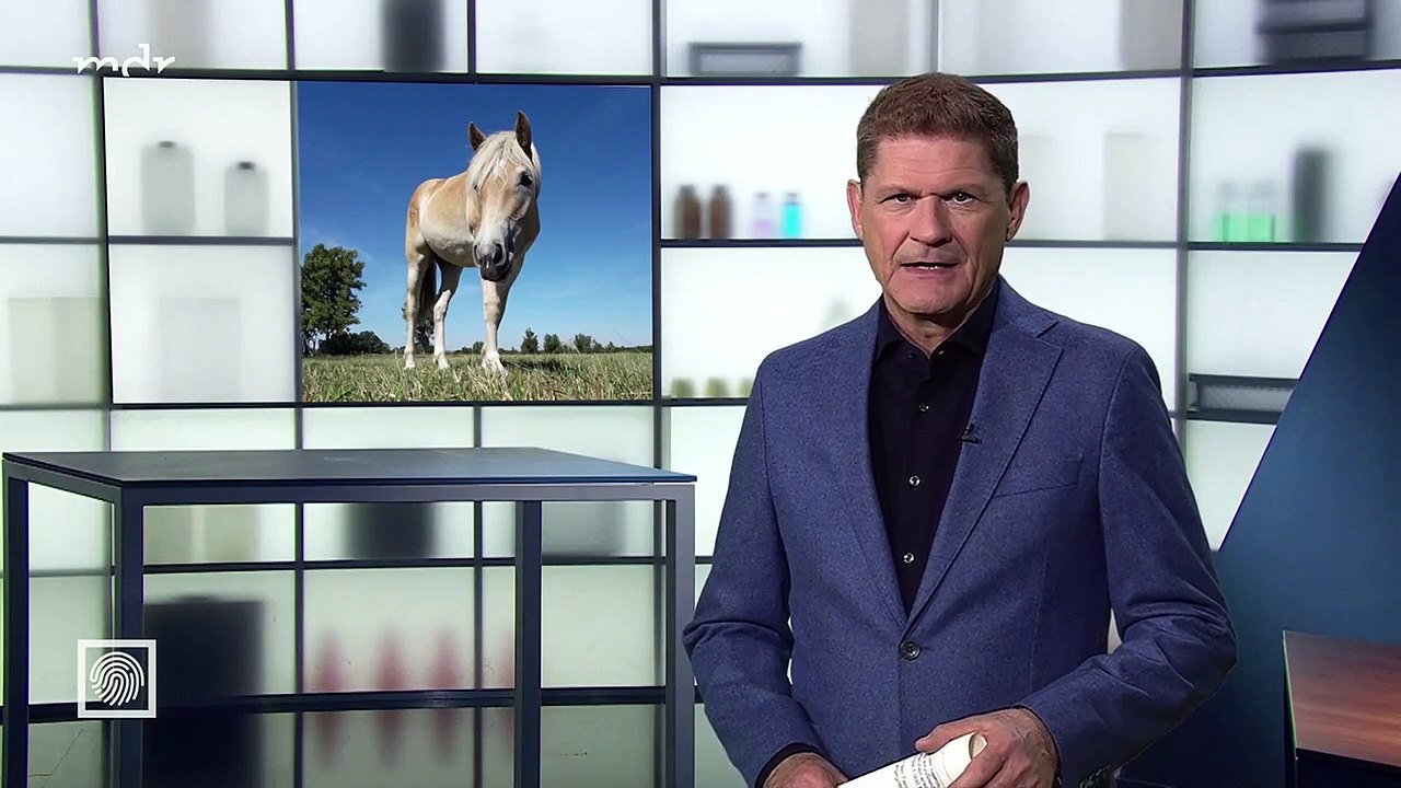 Kripo live vom 10. November 2024