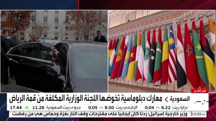 "اللجنة الوزارية المشتركة" تحشد الرأي العام العالمي لتأييد حل الدولتين