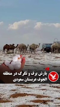 ¿Un mal presagio? El desierto de Arabia Saudita se cubre de nieve por primera vez en su historia