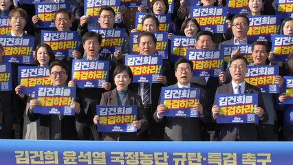민주, '김 여사 특검 관철' 천만 명 서명운동 돌입 / YTN