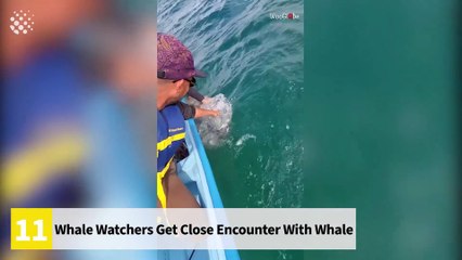 Videos | Short video | funny | games | game  | 15 insane moments at sea | sea