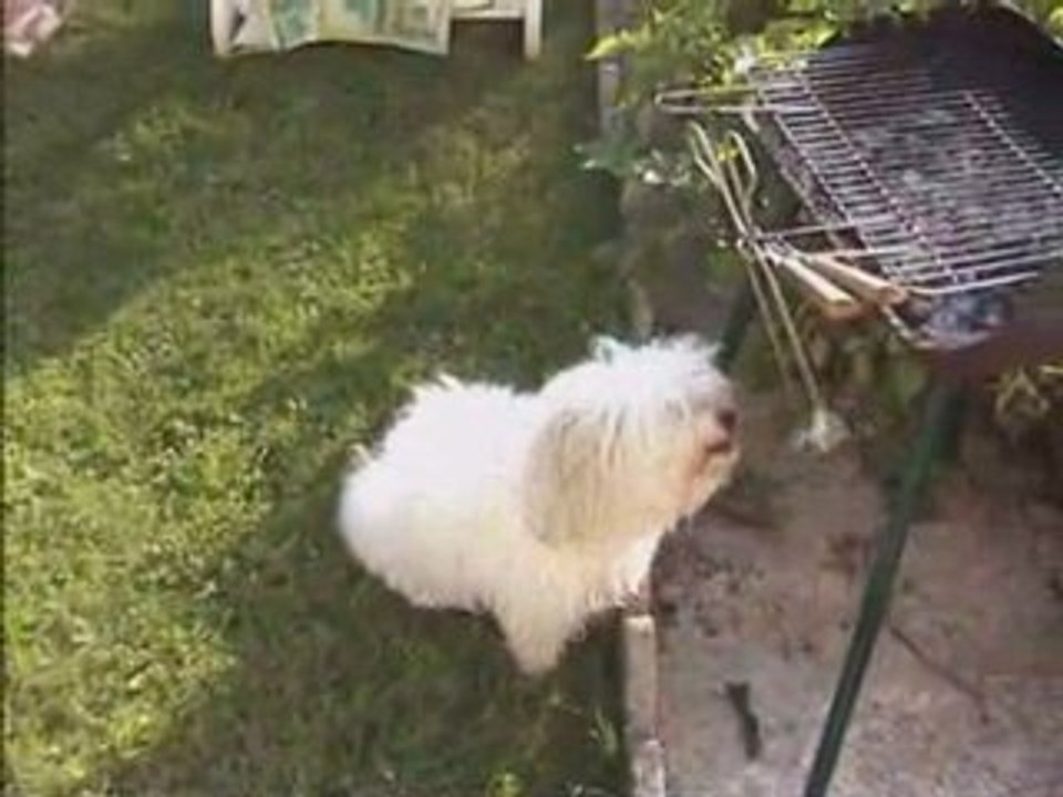 Prisca et la fourchette