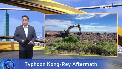 Driftwood From Typhoon Kong-Rey Clogs Beaches on East Coast