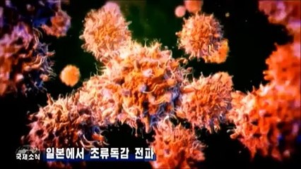 Notícias do exterior na Televisão Central da Coreia (10.11.2024)