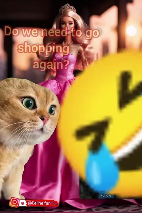 Funny cat videos 😂