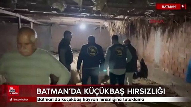 Batman'da küçükbaş hayvan hırsızlığına tutuklama