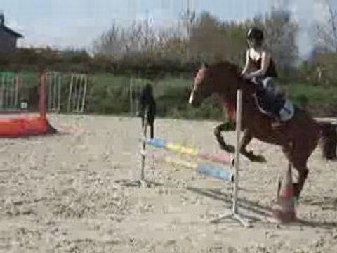 moi et mon poney en saut d'obstacle