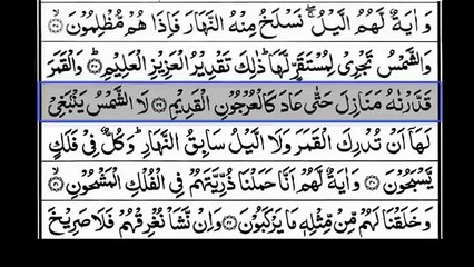 Reciting Surah Yaseen- Full Text Quran Reciter _ Online Quran Tilawat
