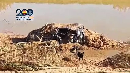 Policía Nacional con agentes caninos siguen buscando desaparecidos a orillas del río Turia