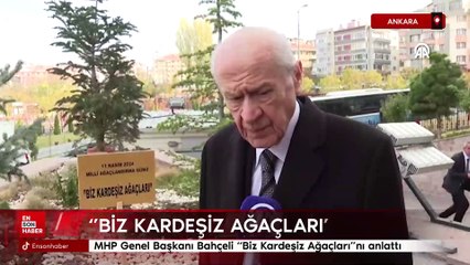 MHP Genel Başkanı Bahçeli “Biz Kardeşiz Ağaçları”nı anlattı