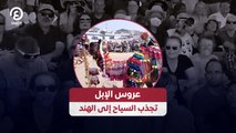 عروس الإبل تجذب السياح إلى الهند