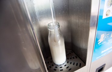 Drinking milk raises heart attack risk in females