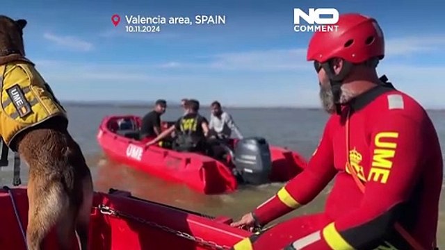 L'esercito spagnolo continua le ricerche dei dispersi con l'aiuto dei cani