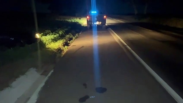 Operação conjunta do BPFron e Nepom apreende 360 kg de maconha em Francisco Alves