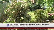 24ª EXPOSICIÓN DE CACTUS Y CRASAS EN MAR DEL PLATA