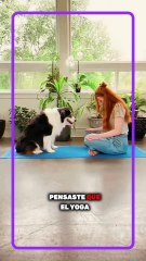 ¿Sabías? que tu perro también puede hacer yoga
