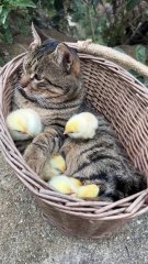 What a Sweet Little Thing