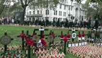 Londra, campo della memoria per le vittime della I Guerra mondiale