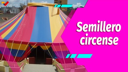 Buena Vibra | Semillero Circense, formación progresiva y permanente