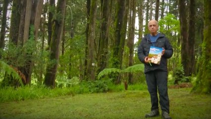 bd-la-historia-de-alejandro-coghi-111124