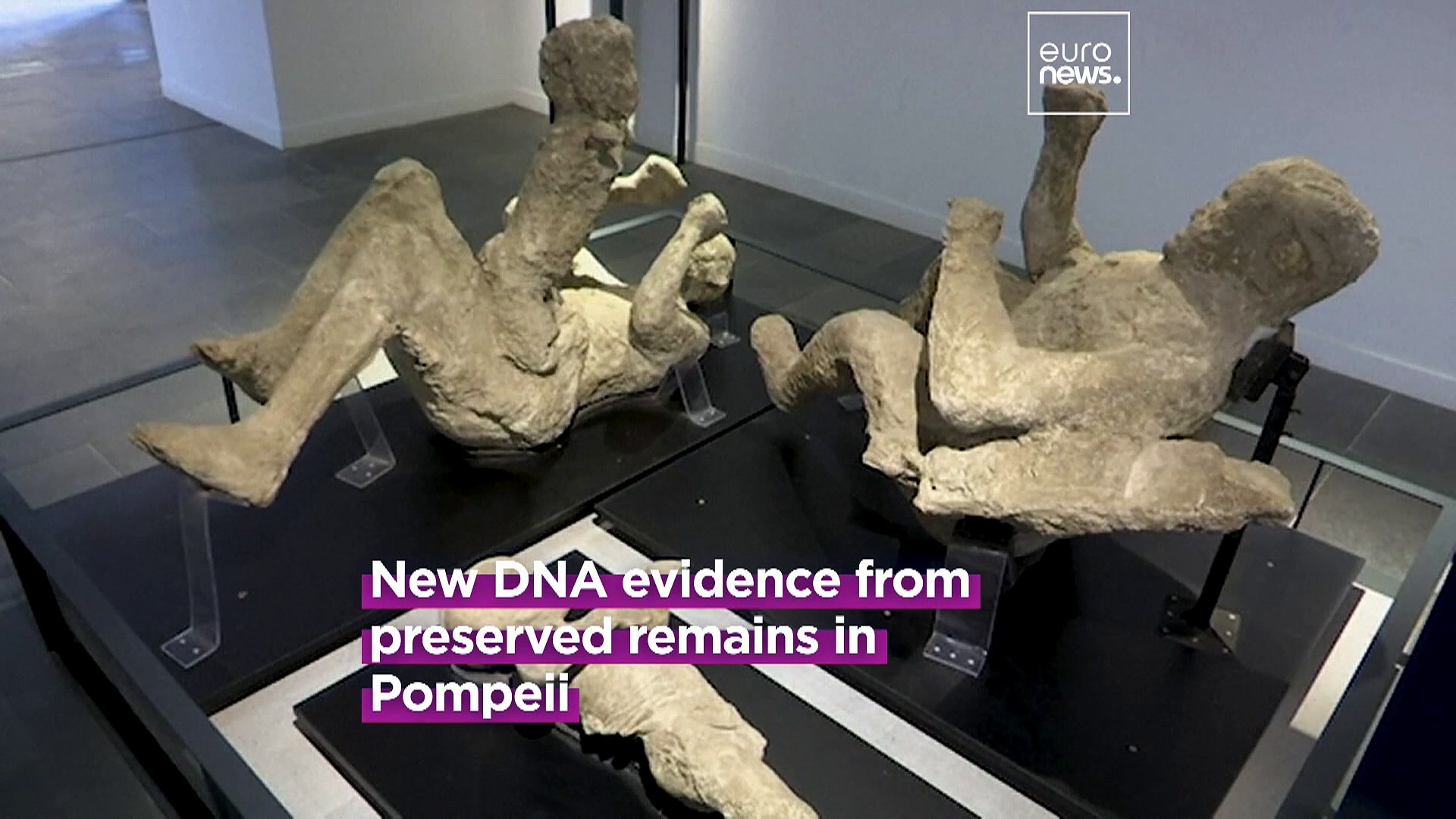 ⁣DNA analysis reveals Pompeii victims were not who archaeologists once believed