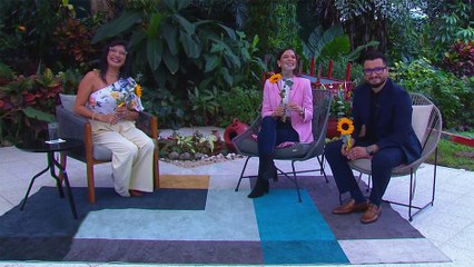 bd-sea-como-el-girasol-111124